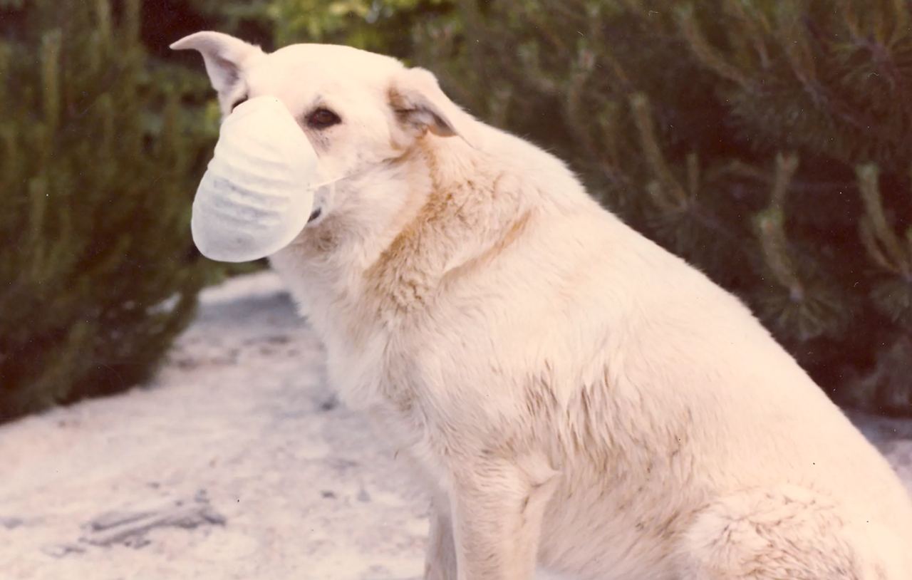 photo_2023-02-23 21.02.33.jpeg